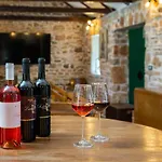 Tosic Estate - Villa, Vineyards&winery *