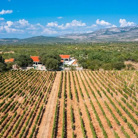Tosic Estate - Villa, Vineyards And Winery