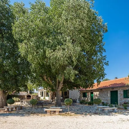 Tosic Estate - Villa, Vineyards And Winery Razvode