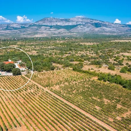 Tosic Estate - Villa, Vineyards And Winery Villa Razvode