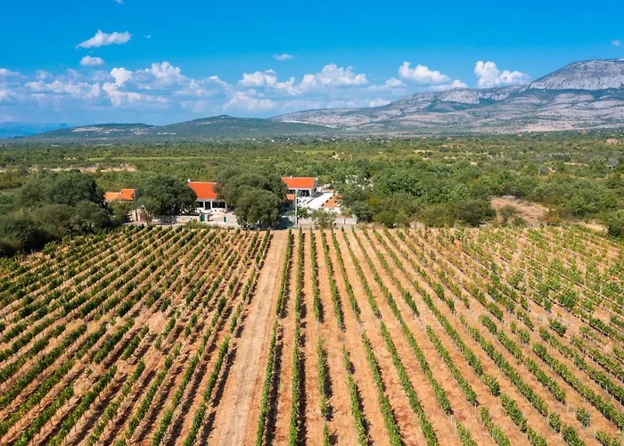 Tosic Estate - Villa, Vineyards And Winery