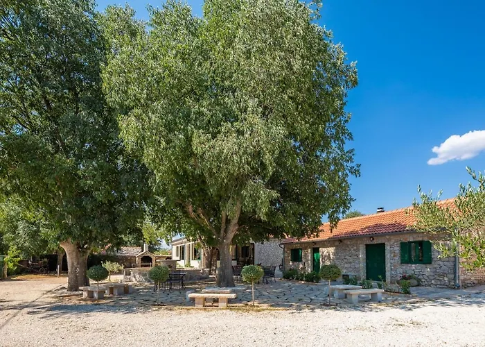 Tosic Estate - Villa, Vineyards And Winery Razvode