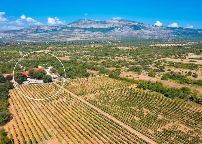 Tosic Estate - Villa, Vineyards And Winery ヴィラ Razvode